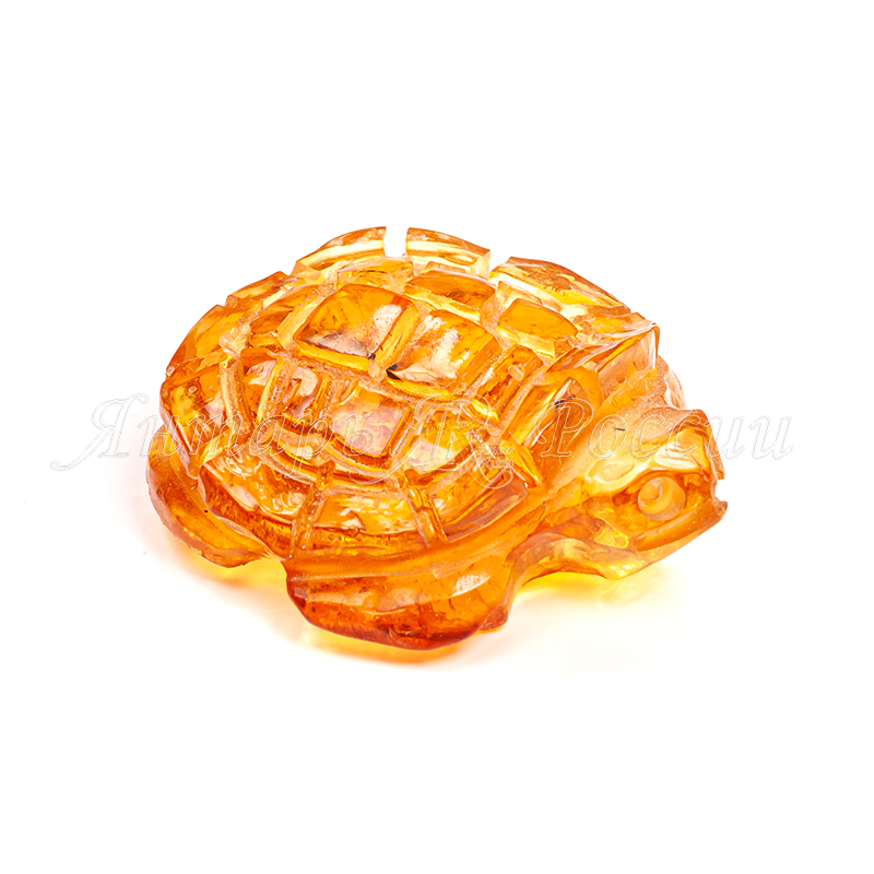 Черепашка Янтарь